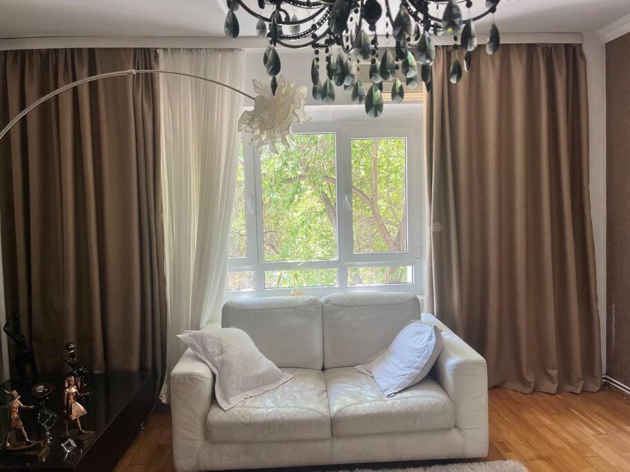 Apartment Charming Apartment/king Size Bed Bucharest
